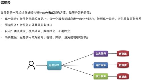 微服务基础知识与唐山网络技术服务 构建现代化应用架构